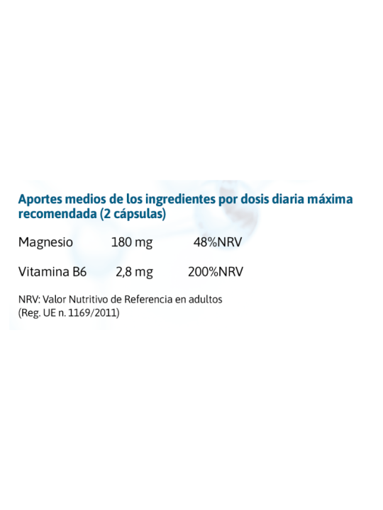 MAGNESIO MIX 60 cápsulas 850 mg