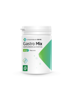 GASTRO MIX