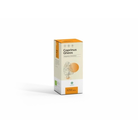 COPRINUS GHEOS 90 cápsulas de 540mg