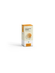 POLYPORUS GHEOS 90 cápsulas de 540mg