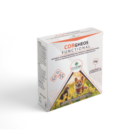CORGHEOS FUNCTIONAL