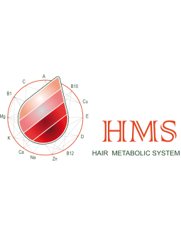 MINERALOGRAMA. MÉTODO HMS + INTERPRETACIÓN