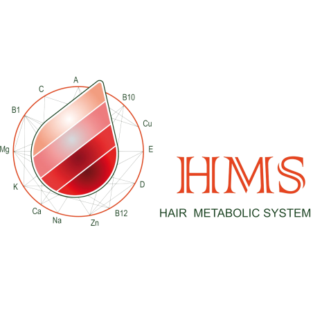 MINERALOGRAMAS HMS
