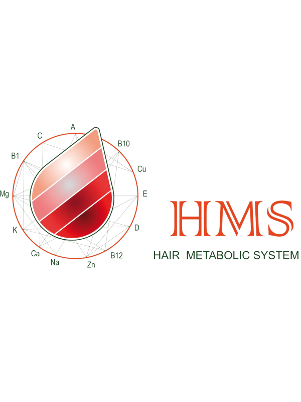 MINERALOGRAMAS HMS