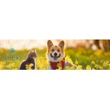 PRODUCTOS VETERINARIOS